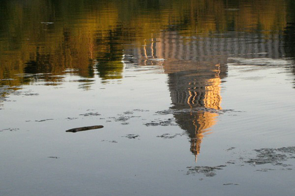 Capitol Lake Reflection