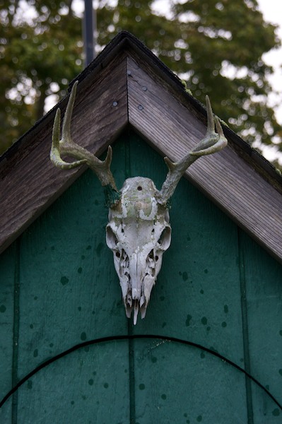 Outhouse Skull