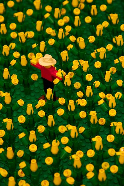Lego Scarecrow