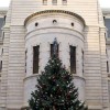 City Hall Christmas Tree
