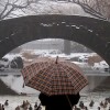 Central Park Umbrella Woman
