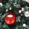 Liberty Place Christmas Tree Decorations