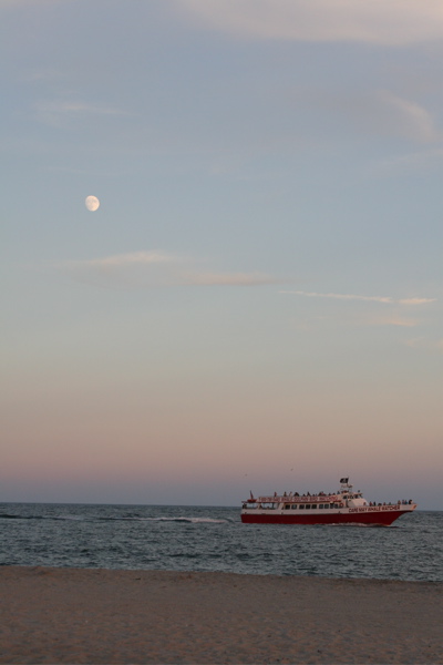 Whale Watching Boat