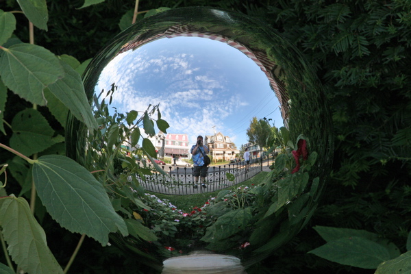 Gazing Ball Reflection