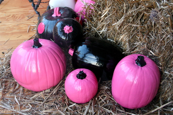 Pink and Black Pumpkins