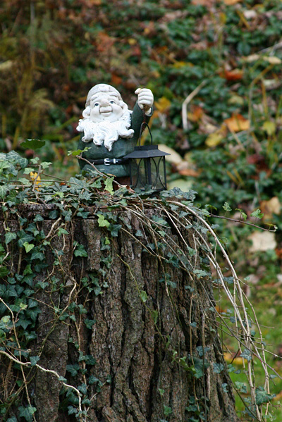 Stump Gnome