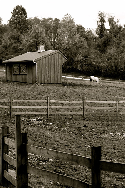 Ridley Creek Park Horse Stables