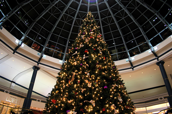 Liberty Place Christmas Tree