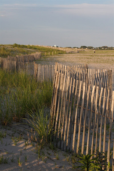 Beach Fence