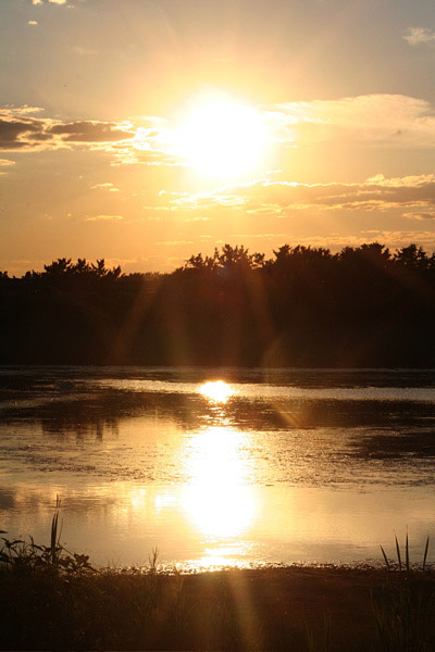 Wetlands Sunset