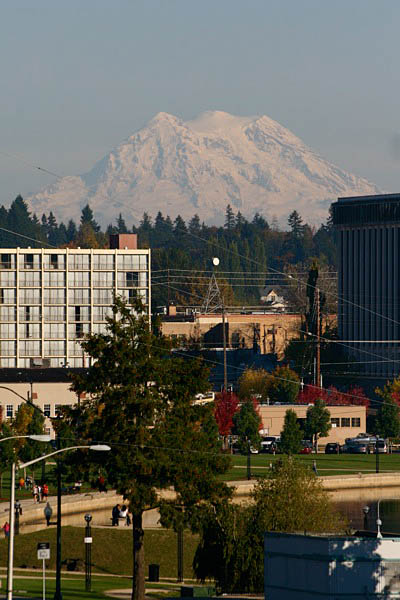 Mt. Rainier from Olympia