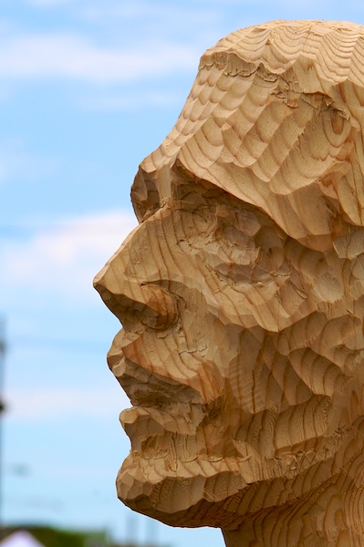 Wooden Face