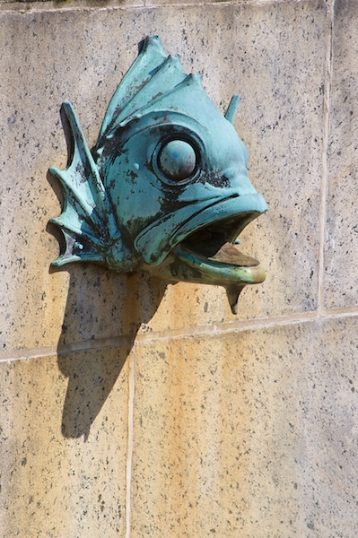 Art Museum Fish Head