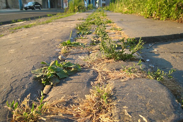 Stone Sidewalk