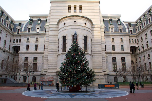 City Hall Christmas Tree