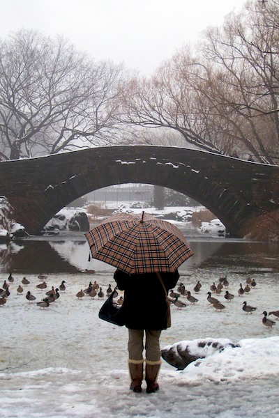 Central Park Umbrella Woman
