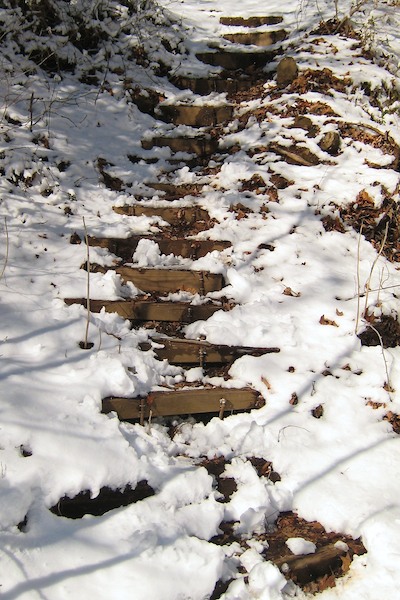 Steps in the Snow