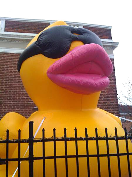 Giant Duck