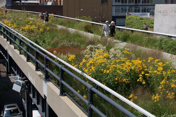 The High Line