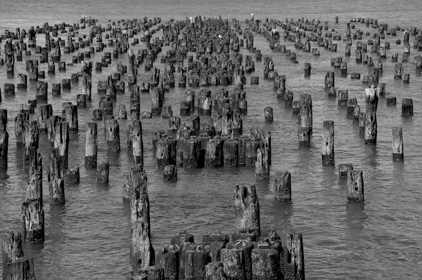 Pier Pilings