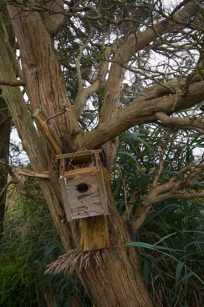 East Point Birdhouse