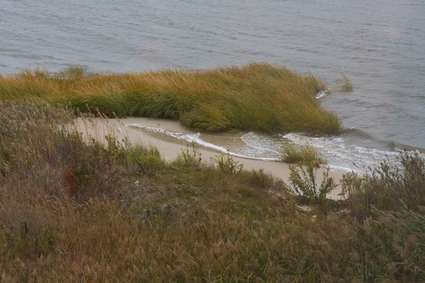 Delaware Bay Shore