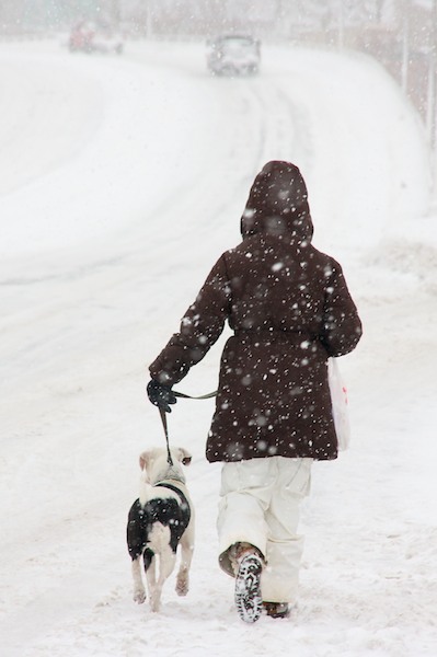 Walking the Dog in the Snow