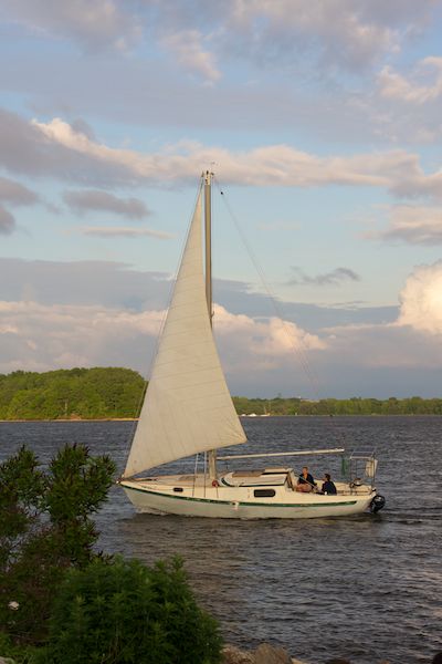 Penn Treaty Sailboat