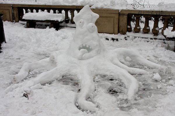 Snow Squid