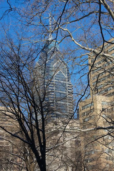 City Through The Trees