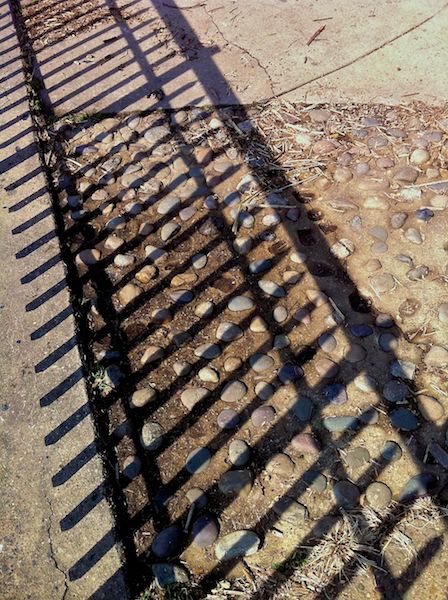 Fence Shadow