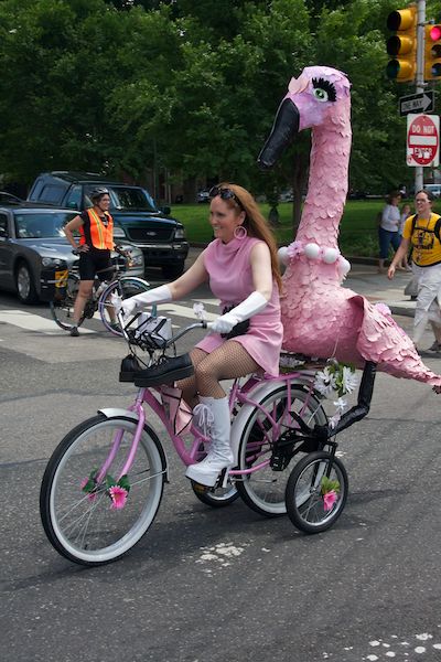 Flamingo Bicycle