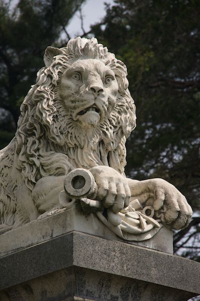 Laurel Hill Lion