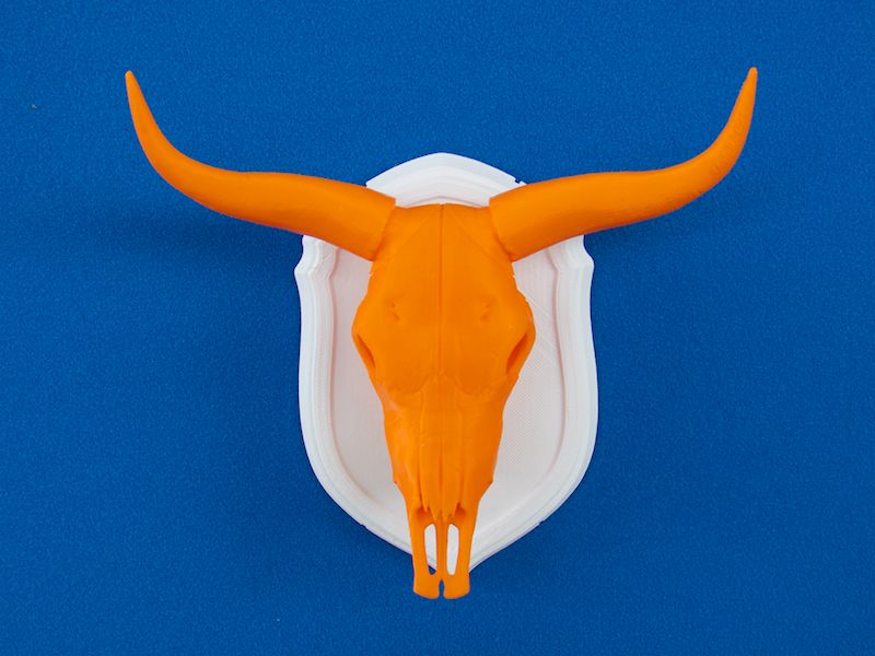 3D-Printed Cattle Skull