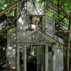 Abandoned Greenhouse, Ridley Creek State Park