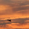 Helicopter At Sunset