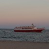 Whale Watching Boat