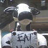 Eat Mor Chikin