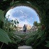 Gazing Ball Reflection