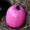 Pink and Black Pumpkins