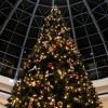 Liberty Place Christmas Tree