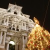 City Hall Christmas Tree