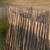 Beach Fence