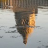 Capitol Lake Reflection