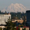 Mt. Rainier from Olympia