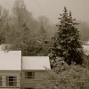 January Snow