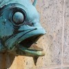 Art Museum Fish Head