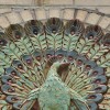 Terra Cotta Peacock