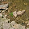 Penn Treaty Park Shore