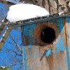 Birdhouse in the Snow